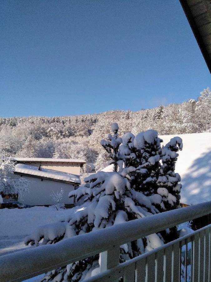 Ferienwohnung Pietzavka Wiesenfelden Exteriér fotografie