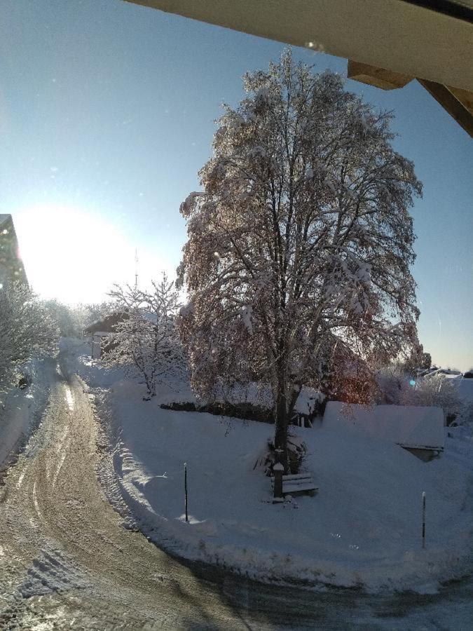 Ferienwohnung Pietzavka Wiesenfelden Exteriér fotografie